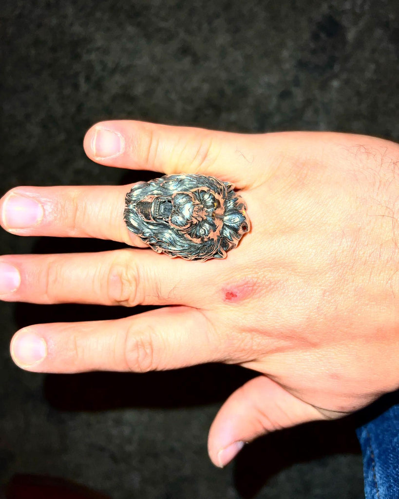 + A Lion Never Loose